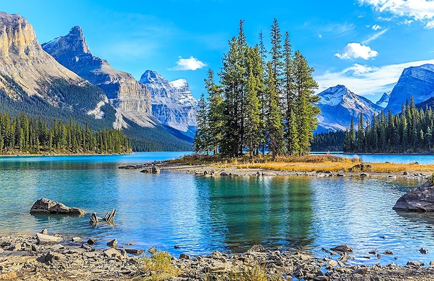 A1FWqCcR0SL._AC_UF894,1000_QL80_